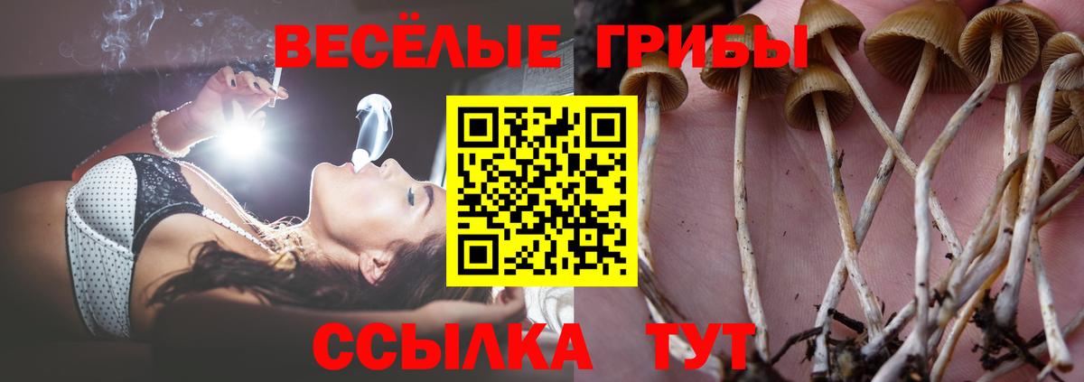 ГАШИШ Углич